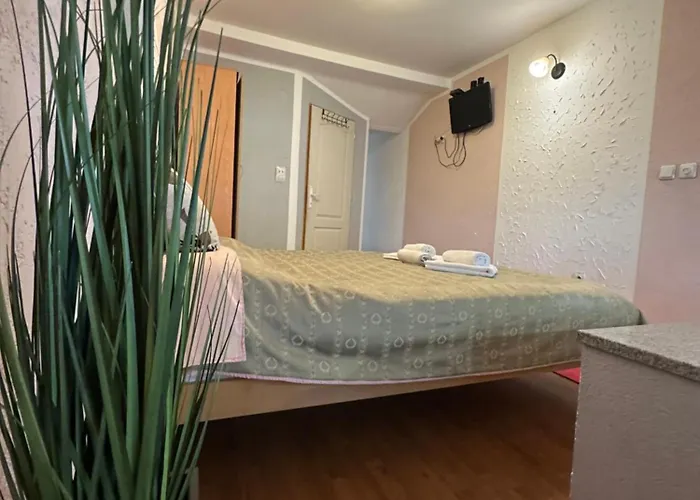 Appartamento X2 Josanicka Banja