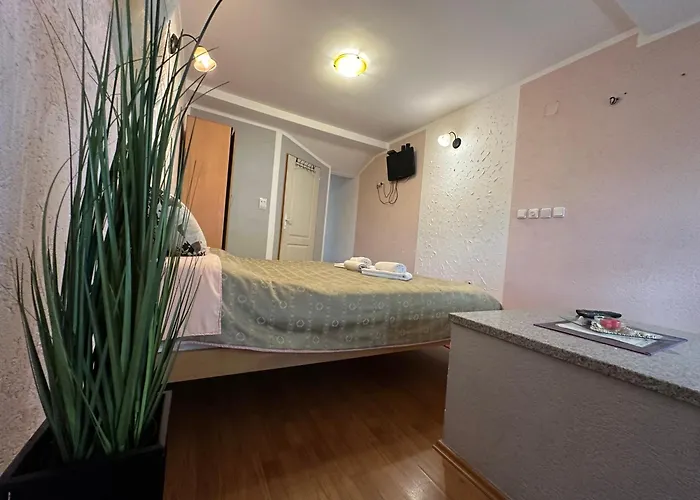 Appartamento X2 Josanicka Banja